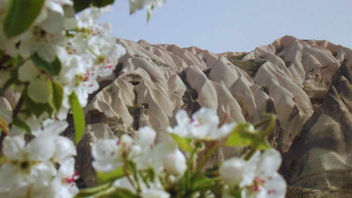 ローズバレーのハイキングの途中