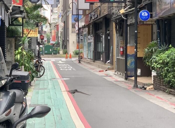 台湾から一斉に人の姿が消えた街並み