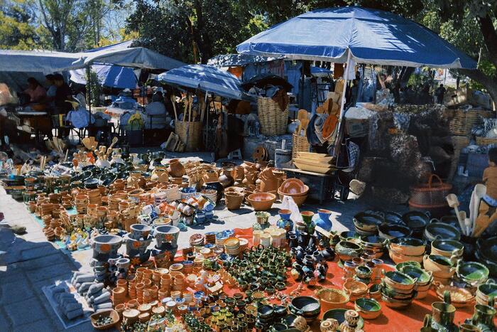 ＜ティアンギスの様子＞