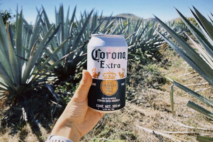 ＜コロナビールを手渡され、ご機嫌で畑を散策＞