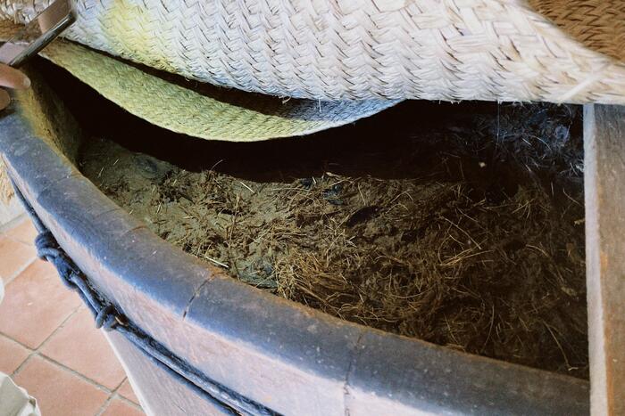 ＜発酵の様子＞