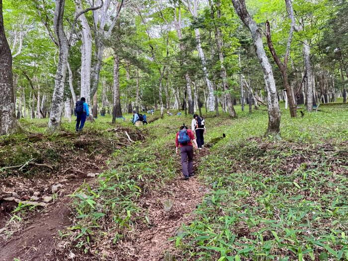 男体山　登山道