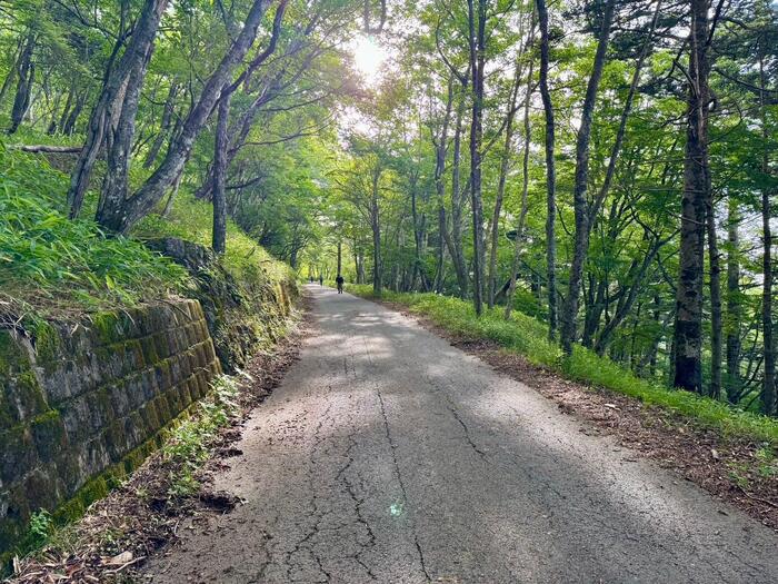 男体山　登山道