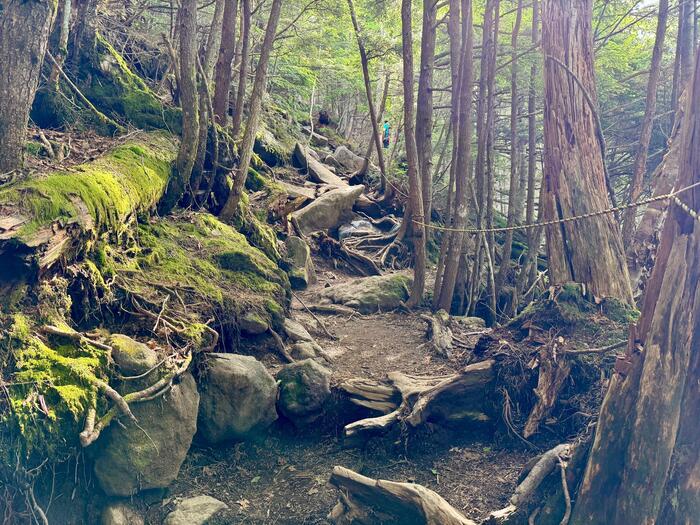 男体山　登山道
