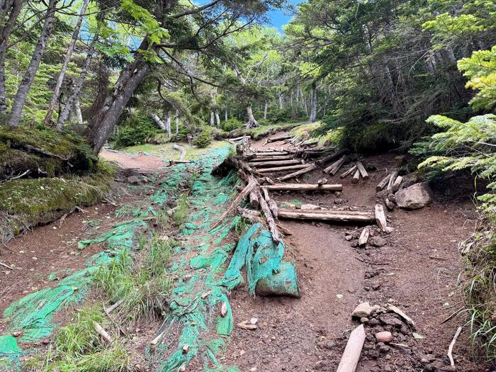 男体山　登山道