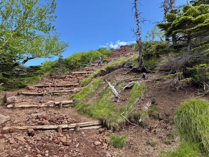 男体山　登山道