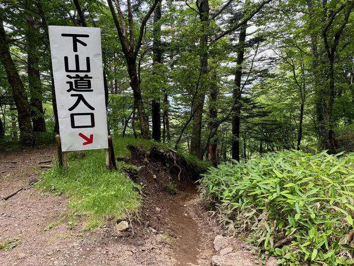 男体山　登山道　3合目