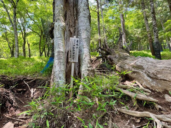 男体山　登山道　2合目