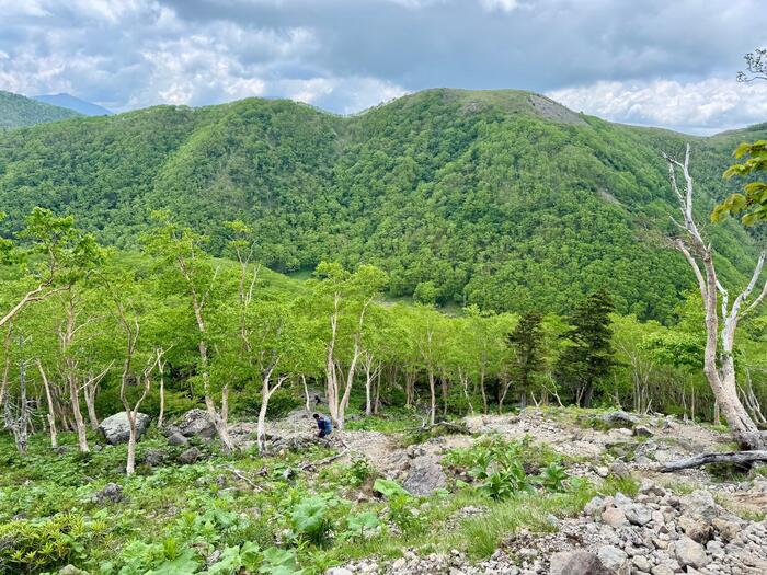日光白根山