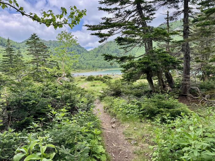 日光白根山　五色沼