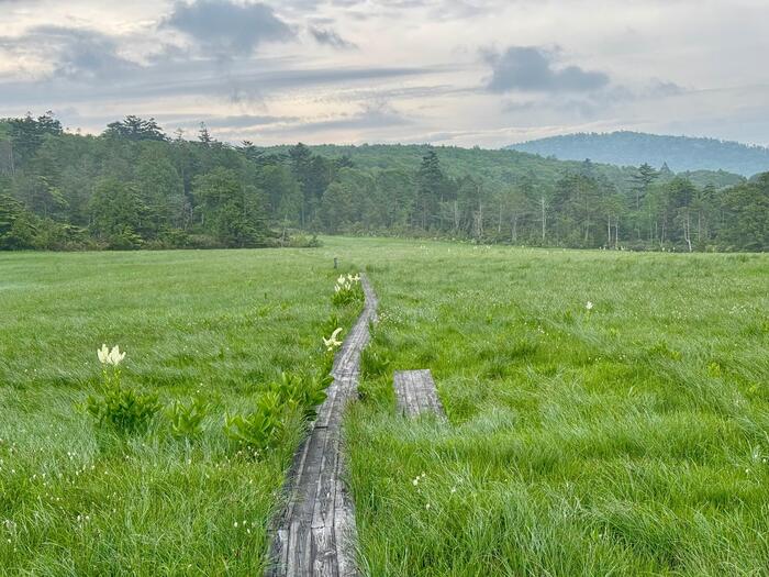 尾瀬　小淵沢田代