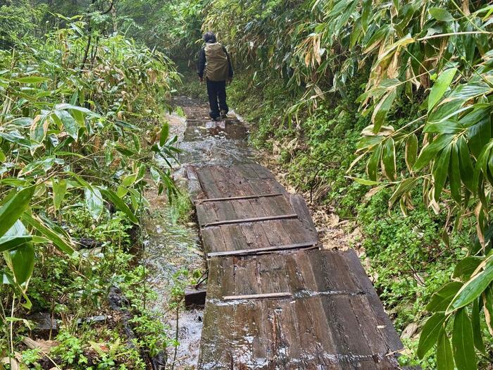 尾瀬　木道