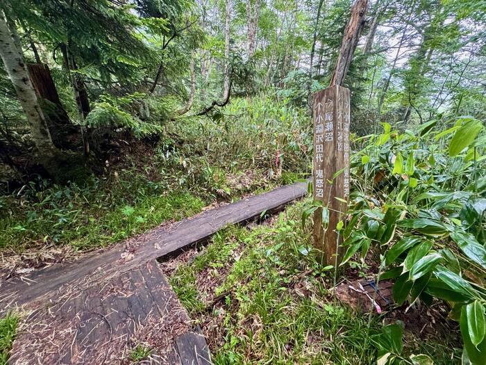 尾瀬　尾瀬沼　小淵沢田代