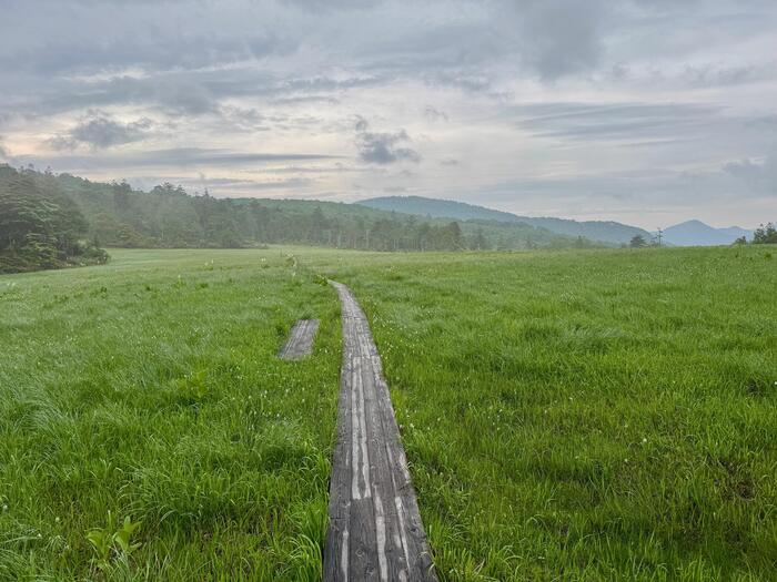 尾瀬　小淵沢田代