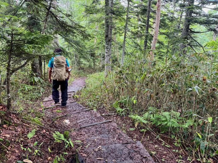 尾瀬　尾瀬沼　小淵沢田代