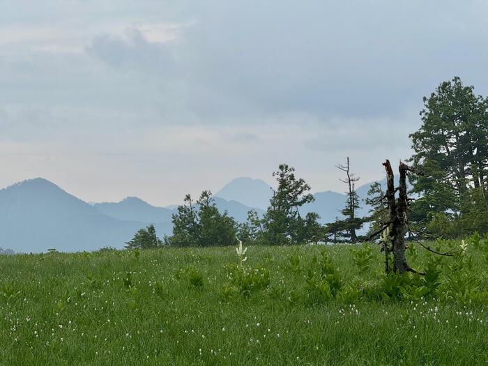 尾瀬　小淵沢田代　日光白根山