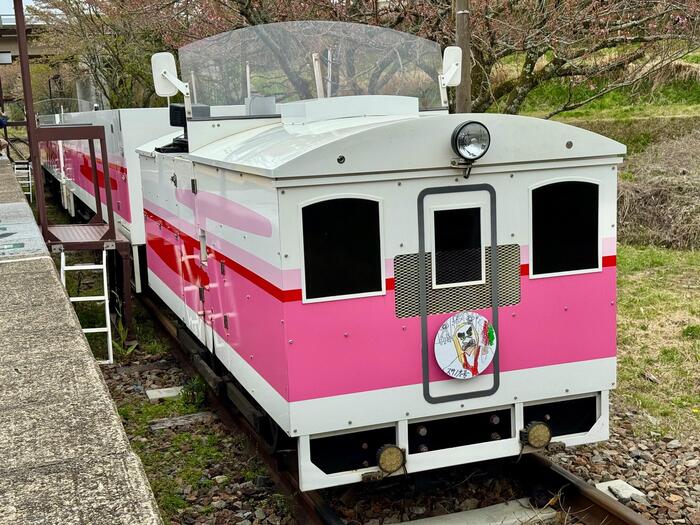 高千穂あまてらす鉄道　グランド・スーパーカート