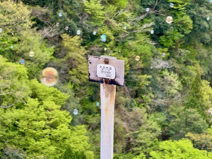 高千穂あまてらす鉄道　グランド・スーパーカート　高千穂鉄橋