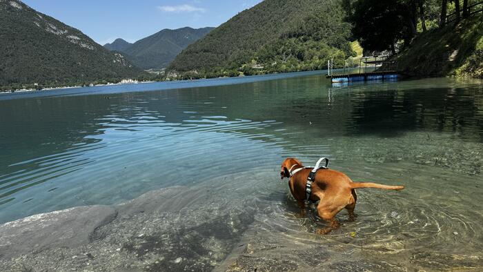 ＜暑い日だったので澄んだ水に入れて大はしゃぎ＞