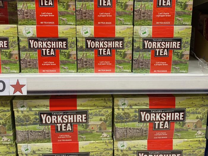 ヨークシャティー