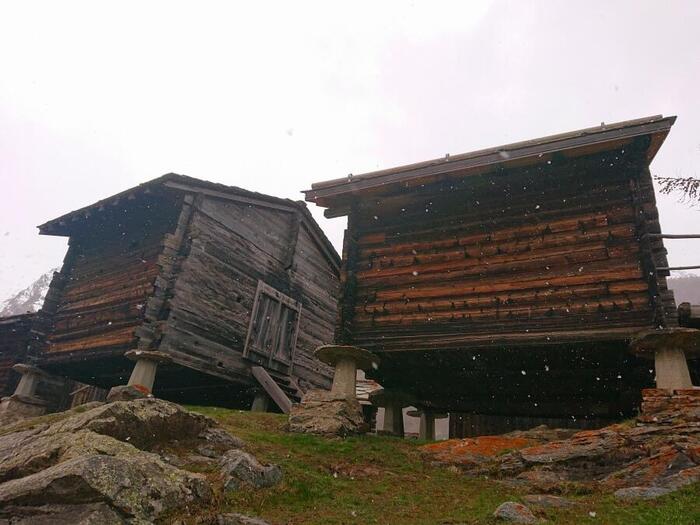 ＜4月末のサース・フェーは雪！でした＞