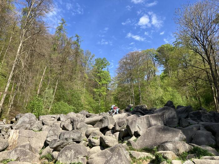 フェルゼンメア