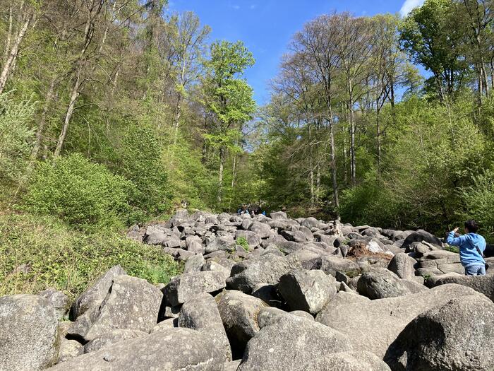 ＜少し小さめの岩が集まったポイント。岩は岩でも大きさが違い、登りやすさが全然違う＞