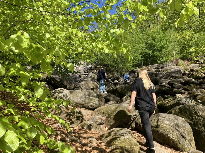 ＜かと思えば、ちょっとした飛び石の上を歩くくらいの簡単なところも。葉っぱに覆われてる感じもいい＞