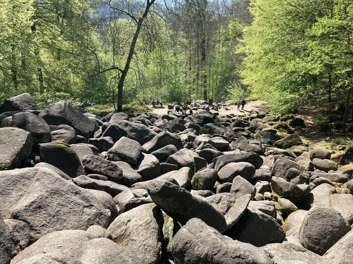 岩の海　たまに後ろを振り返ると、ここを歩いたのかーと感慨深くなる＞