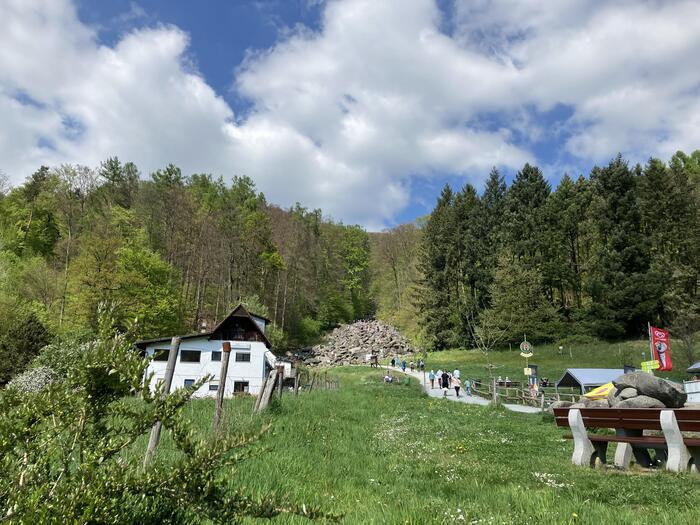 ＜なぜ森の一画にだけ岩が集まっているのか、ロマンを感じます＞