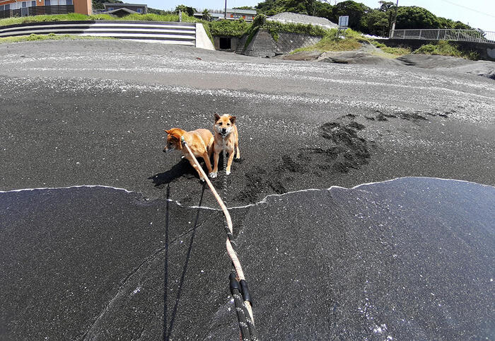 ＜水が嫌いな愛犬＞