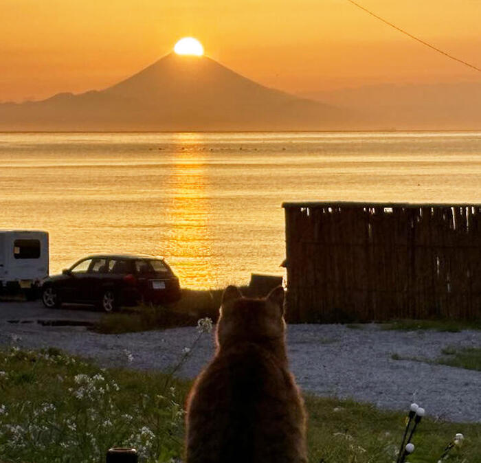 ＜こんな夕日や富士山、猫に出会えることも＞