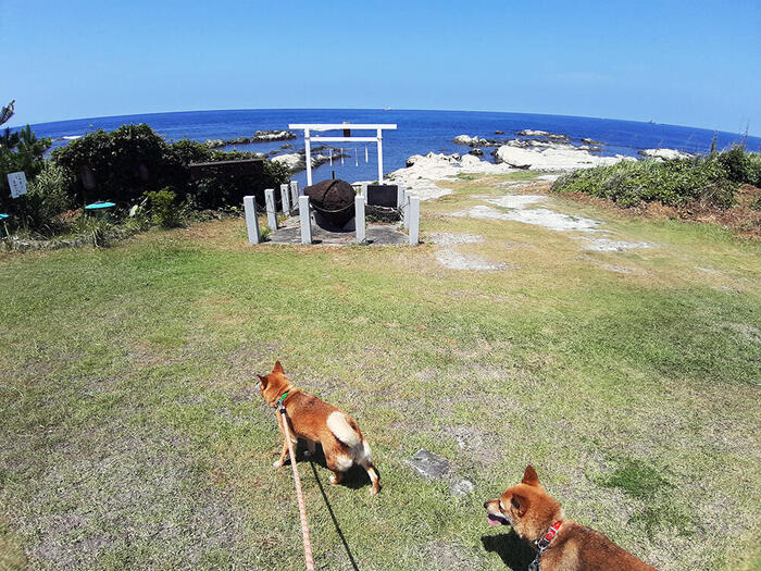 ＜洲崎神社の御神石＞