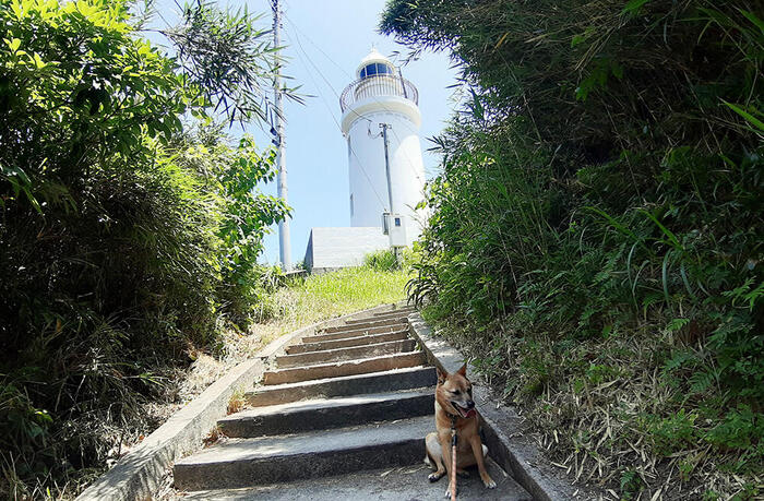 ＜洲崎灯台へと続く階段＞