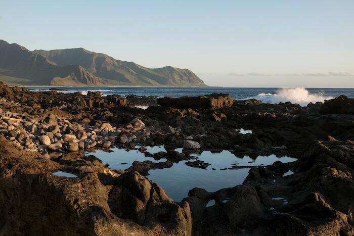 タイドプールが現れるのは、潮が引いている時間帯