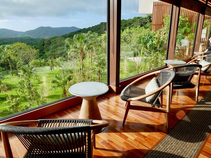 トロピカルオアシスの一角