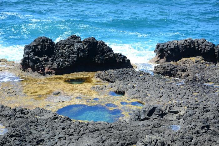 タイドプールとは、潮が引いた岩場に残された海水が作る小さな水たまり