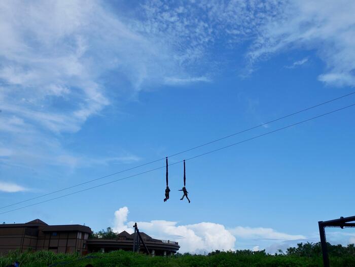 バンジー グライダー