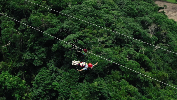 スカイ フェニックスの様子