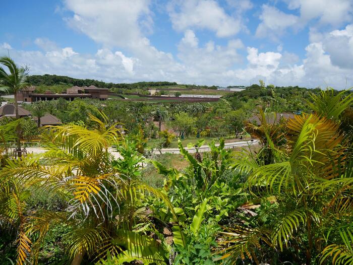 緑の生い茂るジャングリア沖縄