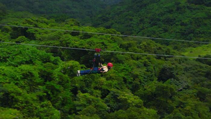 スカイ フェニックス