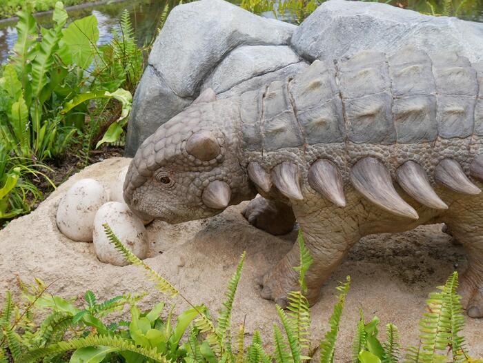 卵を気にかける恐竜