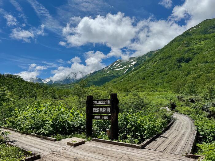白馬岳　日本百名山　栂池自然園　長野県　富山県