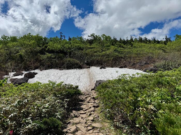 白馬岳　日本百名山　長野県　富山県　雪渓
