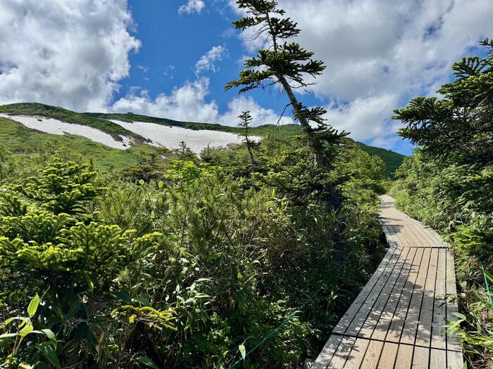 白馬岳　日本百名山　天狗原　白馬乗鞍岳　雪渓　長野県　富山県