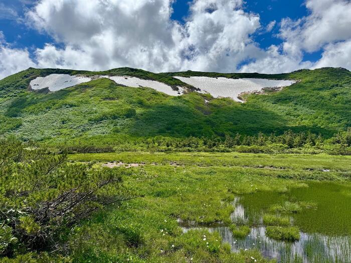 白馬岳　日本百名山　天狗原　白馬乗鞍岳　雪渓　長野県　富山県