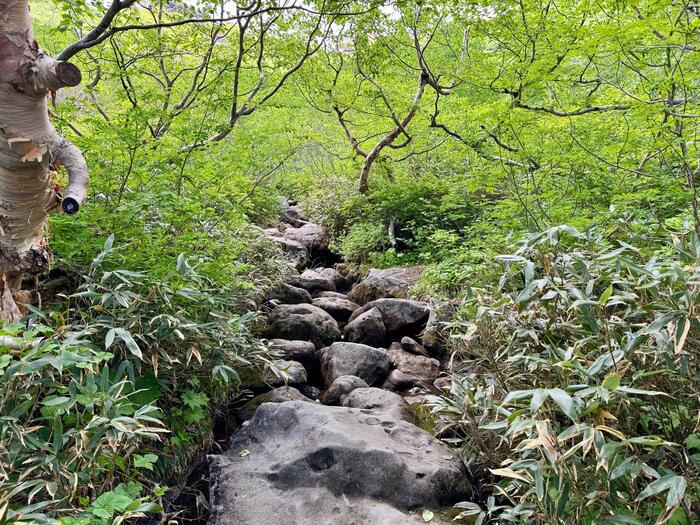 白馬岳　日本百名山　長野県　富山県