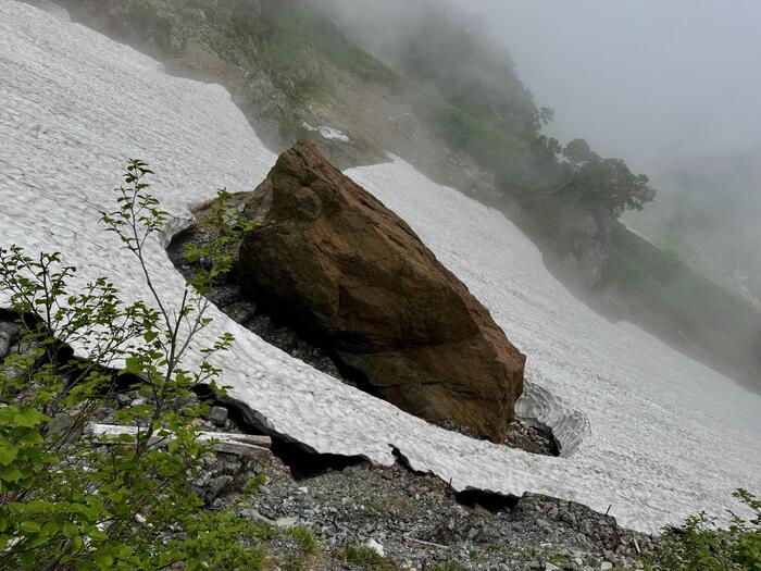 白馬岳　日本百名山　白馬大雪渓　長野県　富山県