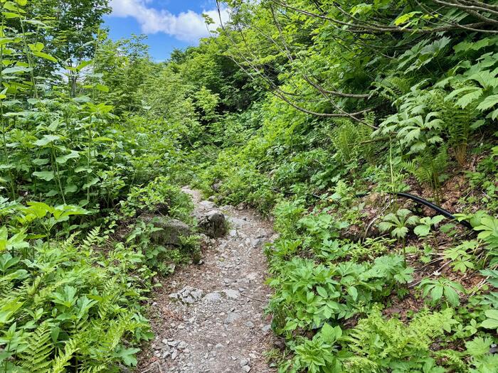 白馬岳　日本百名山　長野県　富山県