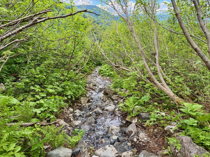 白馬岳　日本百名山　長野県　富山県